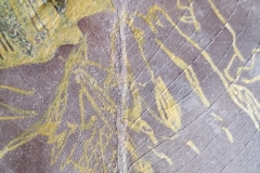 BLATT Detail